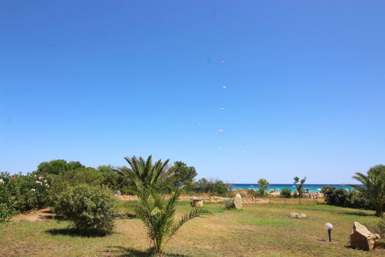 Villa Sa Murta Bassa 코스타 레이 외부 사진